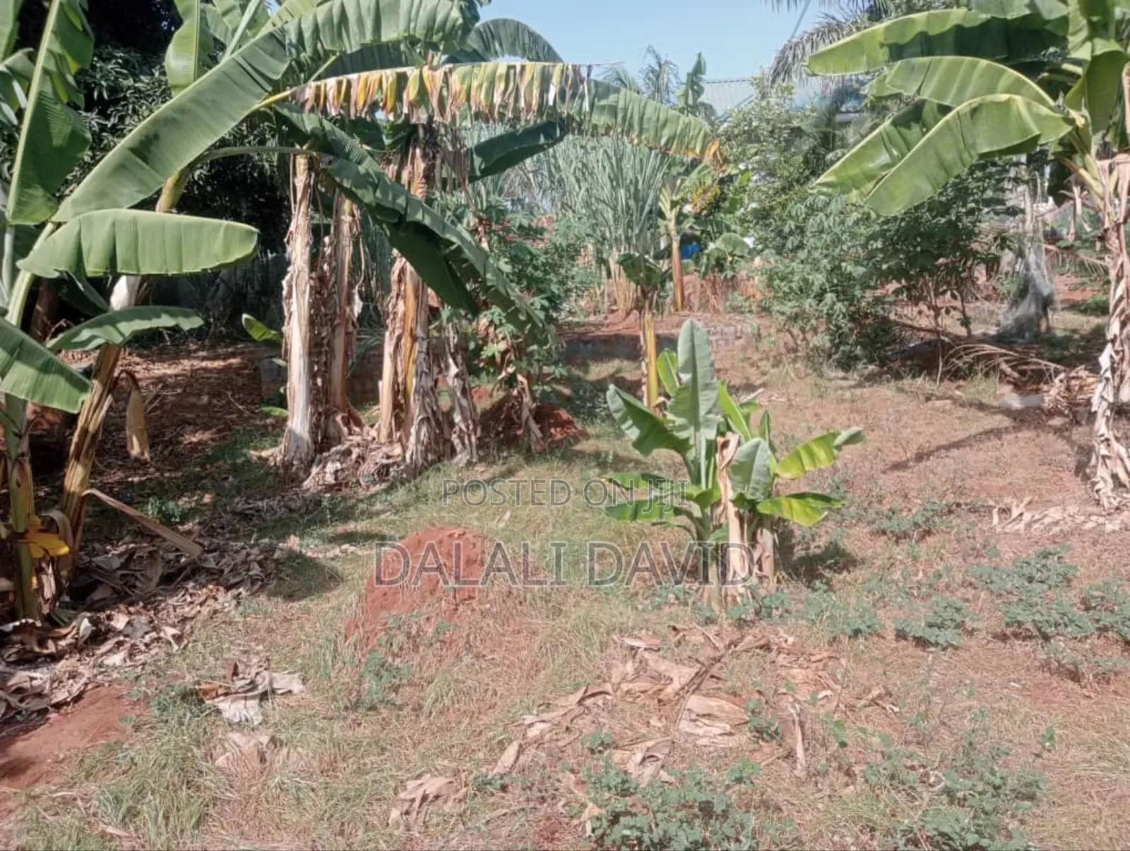Plot for Sale at Mbezi Beach