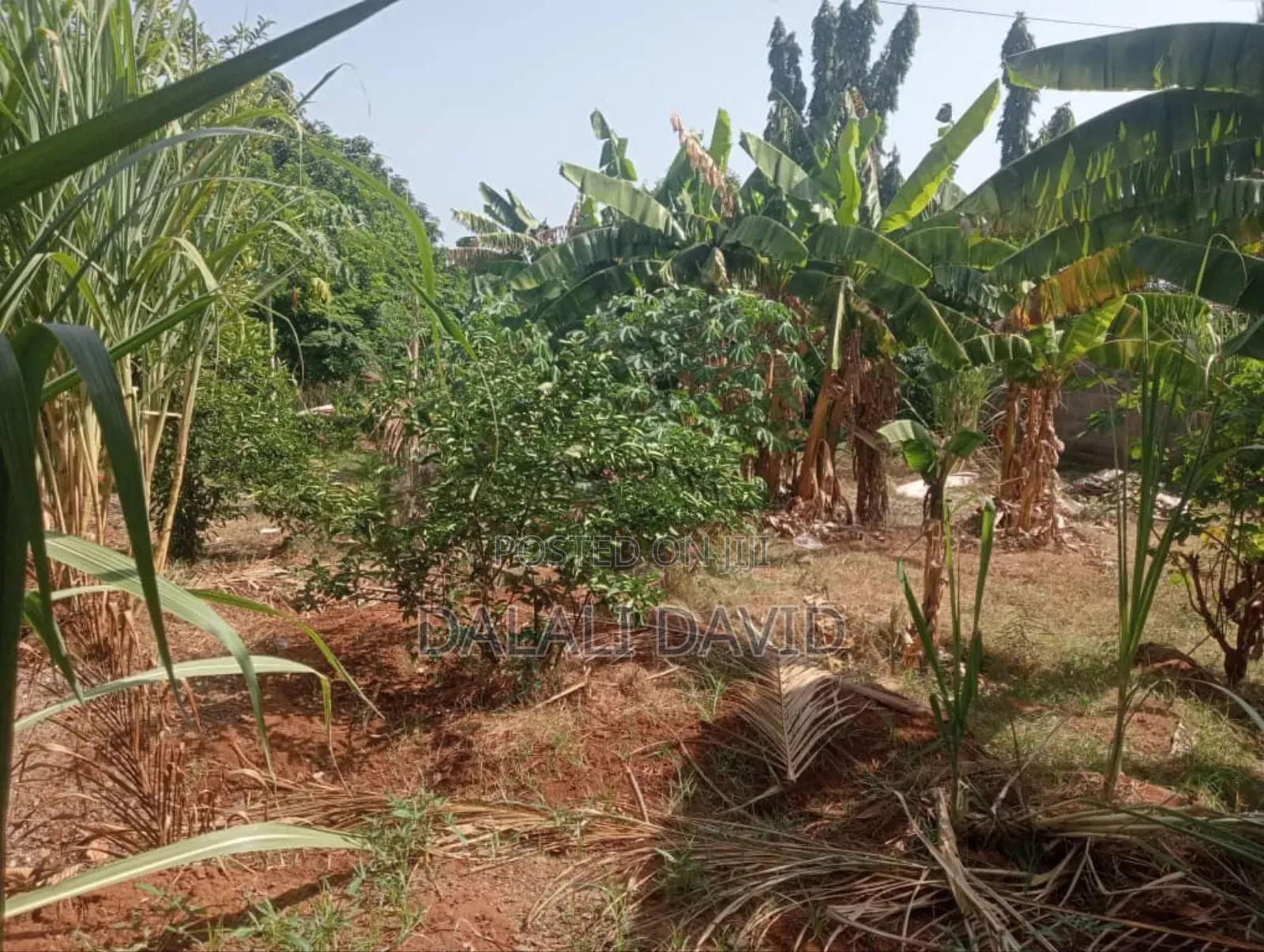 Plot for Sale at Madale Mbopo