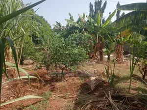 Plot for Sale at Madale Mbopo