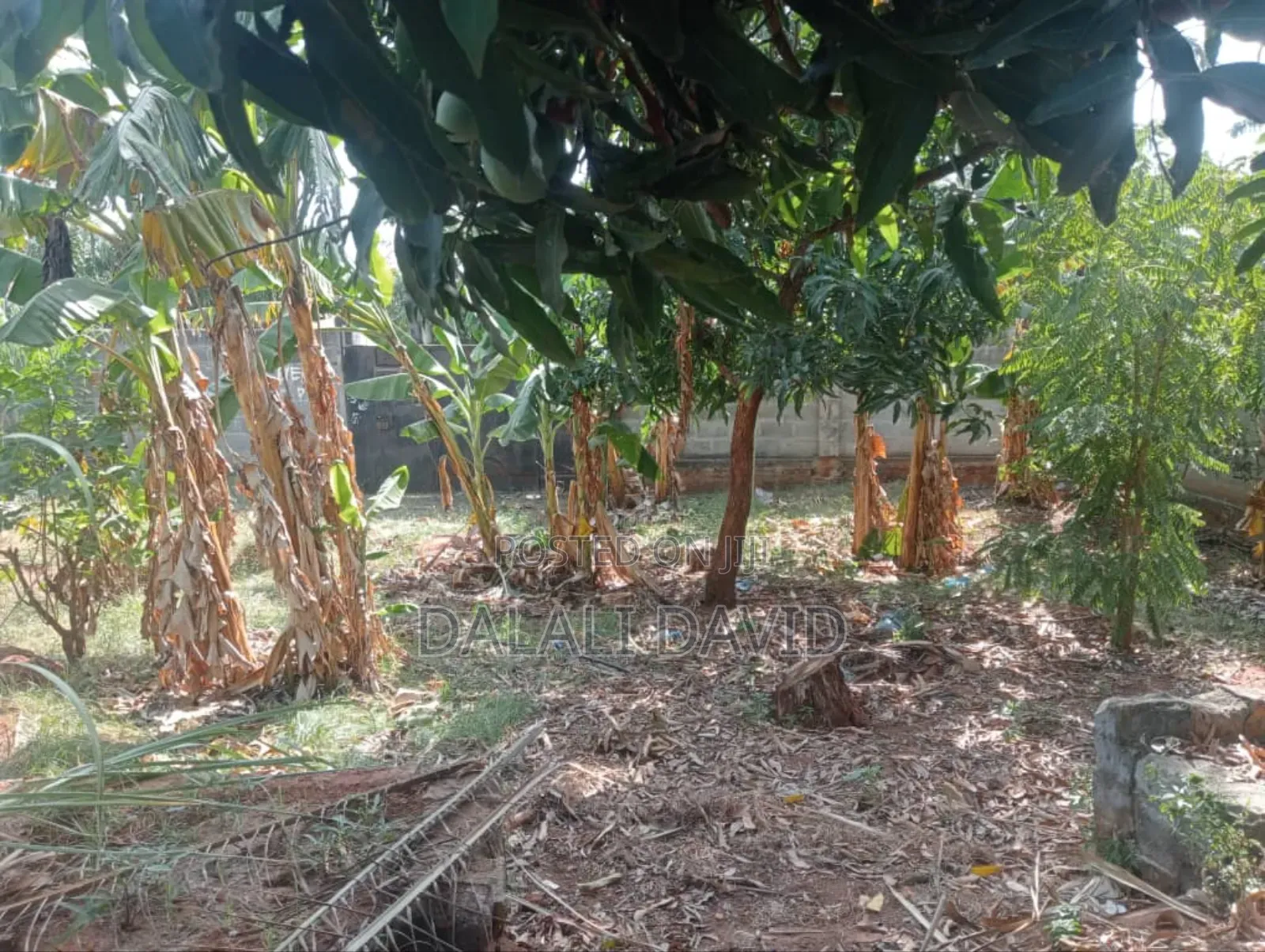 Plot for Sale at Madale Mbopo