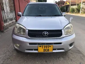 Toyota RAV4 2004 Silver