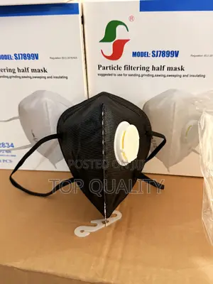 Dust Mask Kn95