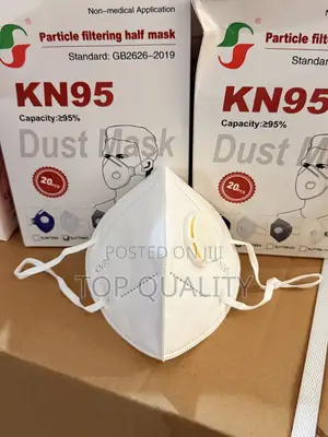 Dust Mask Kn95
