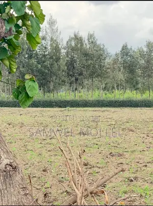 Pata Kiwanja Arusha Kwa Bei Poa Tuwasiliane