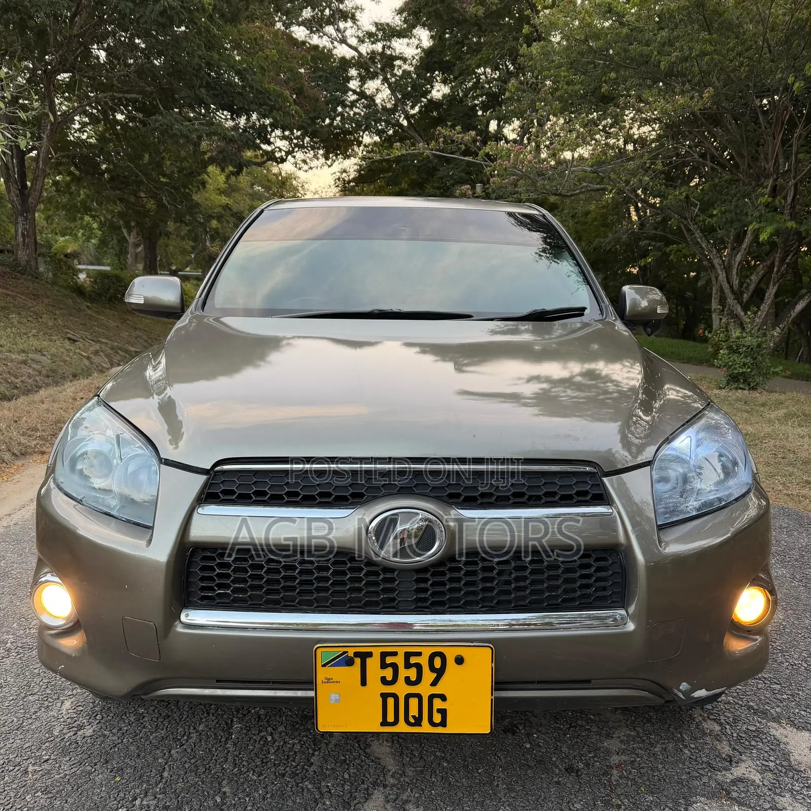 Toyota RAV4 2010 Gray