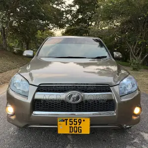 Toyota RAV4 2010 Gray