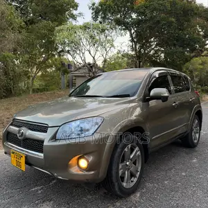 Toyota RAV4 2010 Gray