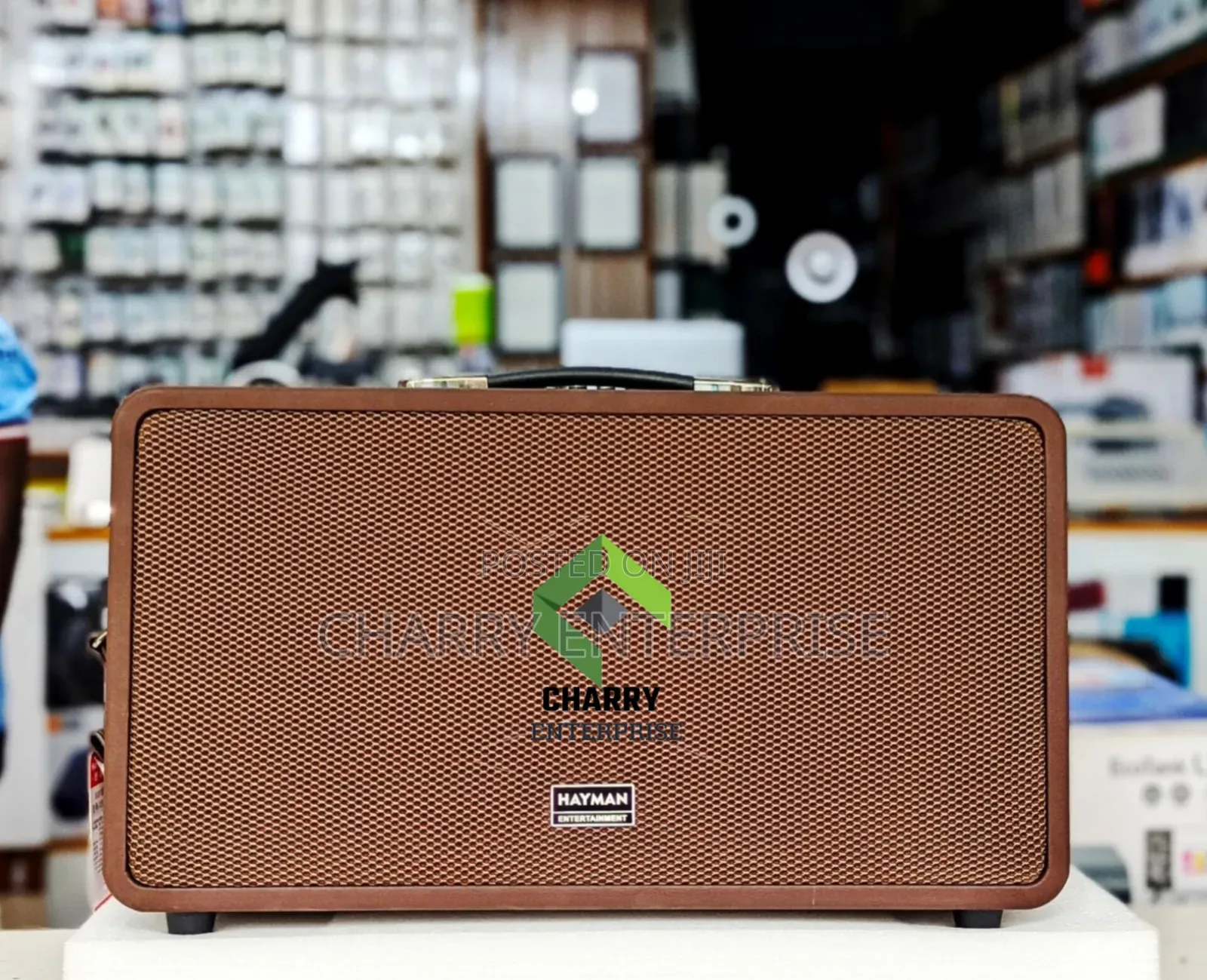 Hayman Karaoke Party Portable Bluetooth Spekaer