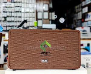 Hayman Karaoke Party Portable Bluetooth Spekaer