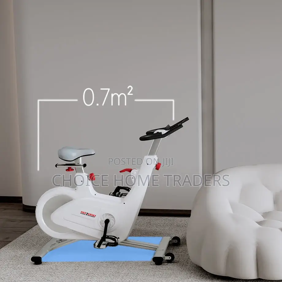 Heavy Duty Magnetic Bike