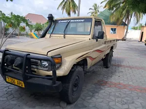 Toyota Land Cruiser 1999 Brown