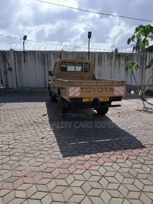 Toyota Land Cruiser 1999 Brown