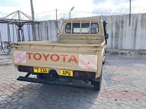 Toyota Land Cruiser 1999 Brown