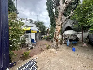 3bdrm House in Msasani for rent