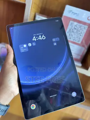 Samsung Galaxy Tab S9 FE+ 256 GB Gray