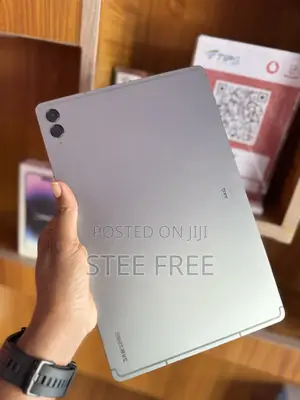 Samsung Galaxy Tab S9 FE+ 256 GB Gray