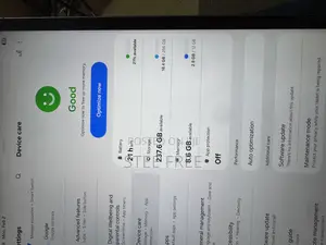 Samsung Galaxy Tab S9 FE+ 256 GB Gray