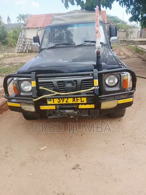 Nissan Pick-Up 1997 Blue