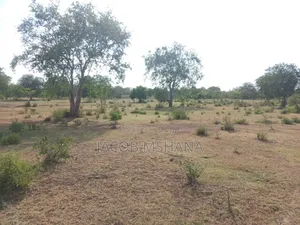 Viwanja Vinauzwa-Nduli