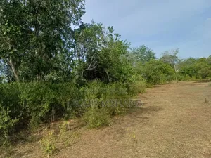 Shamba Linauzwa