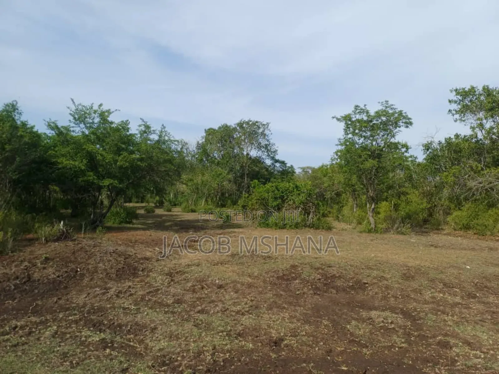 Shamba Linauzwa