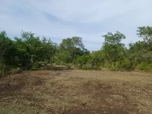 Shamba Linauzwa