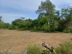 Shamba Linauzwa