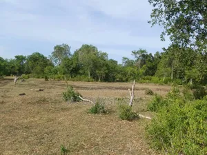 Shamba Linauzwa