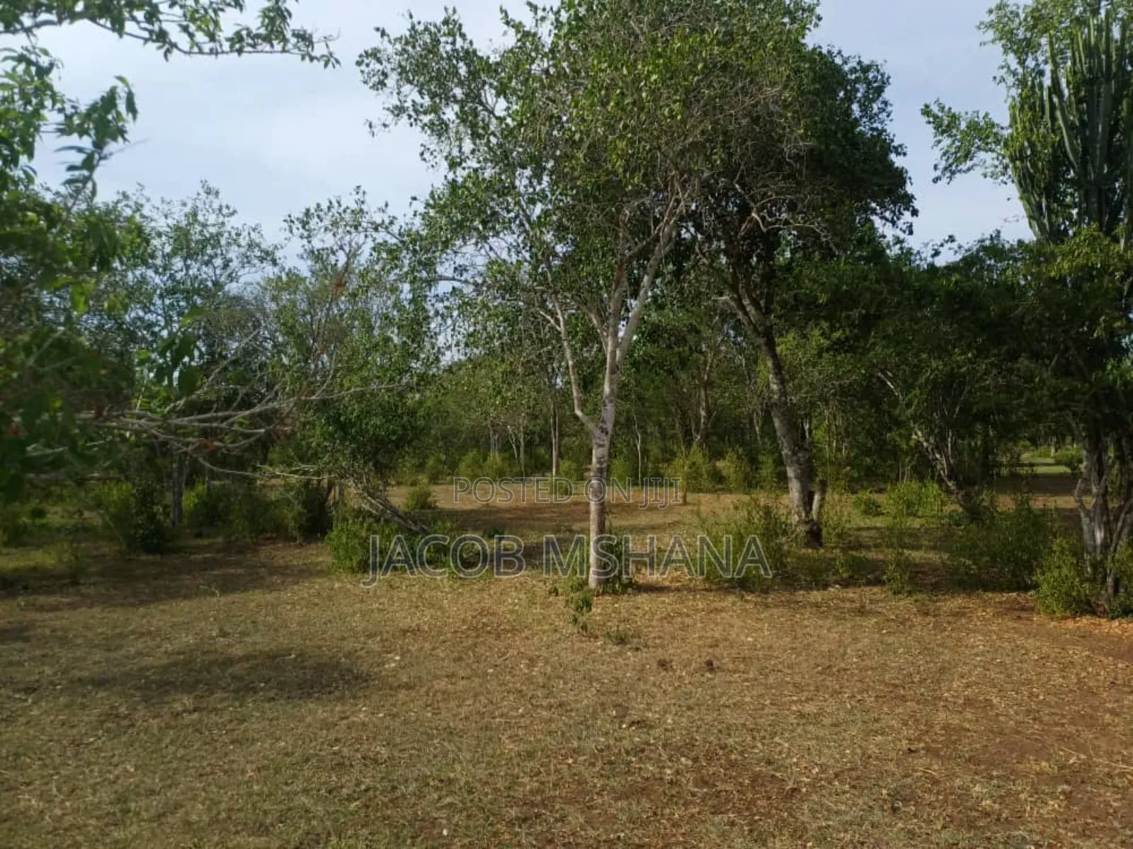 Shamba Linauzwa