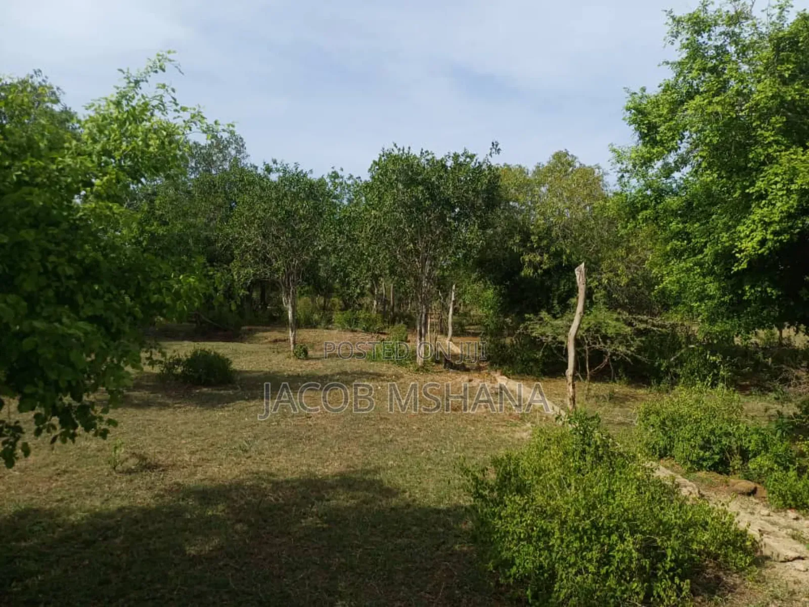Shamba Linauzwa