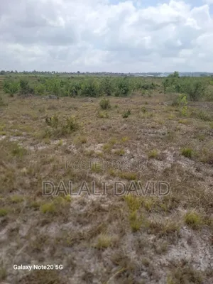Plot For Sale At Mbezi Beach