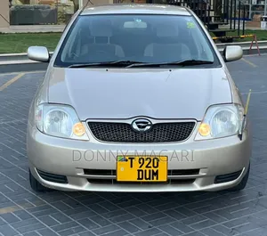 Toyota Corolla RunX 2001 Gold