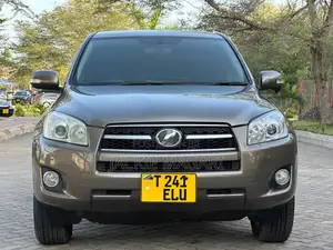 Toyota RAV4 2009 Gray
