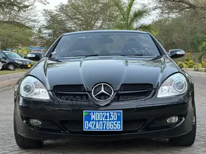 Mercedes-Benz SLK-Class 2007 Matt Black