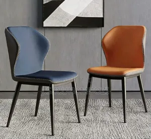Modern Chair Set 2pc