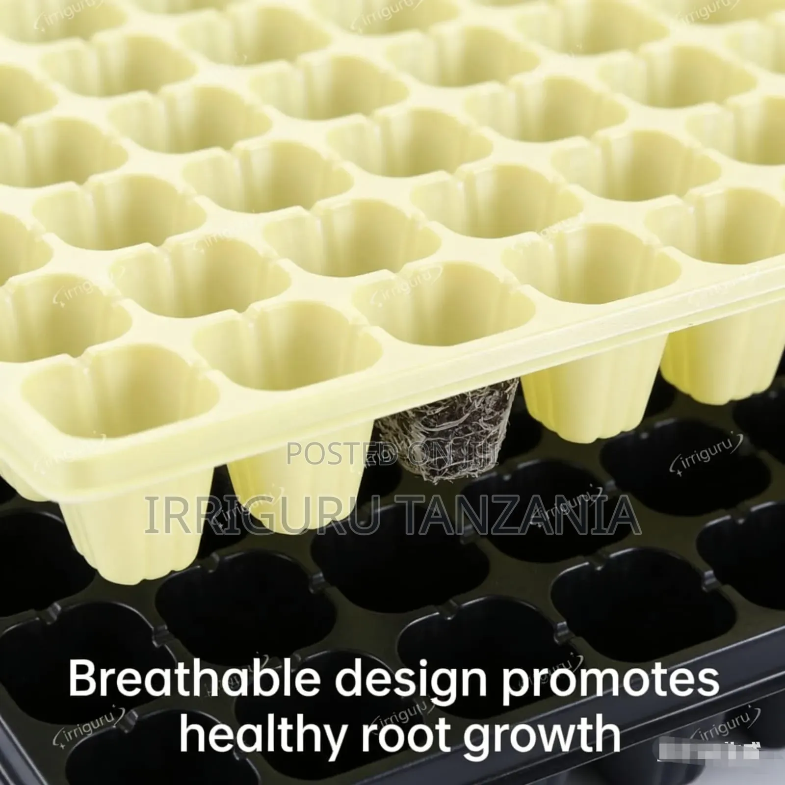 Irrigation Planting Trays