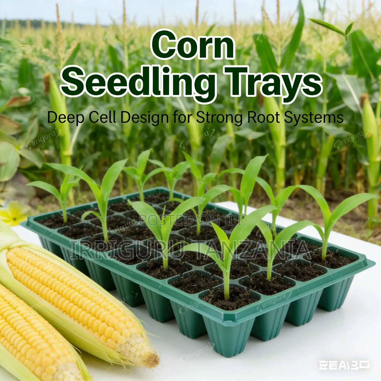 Commercial Seed Trays