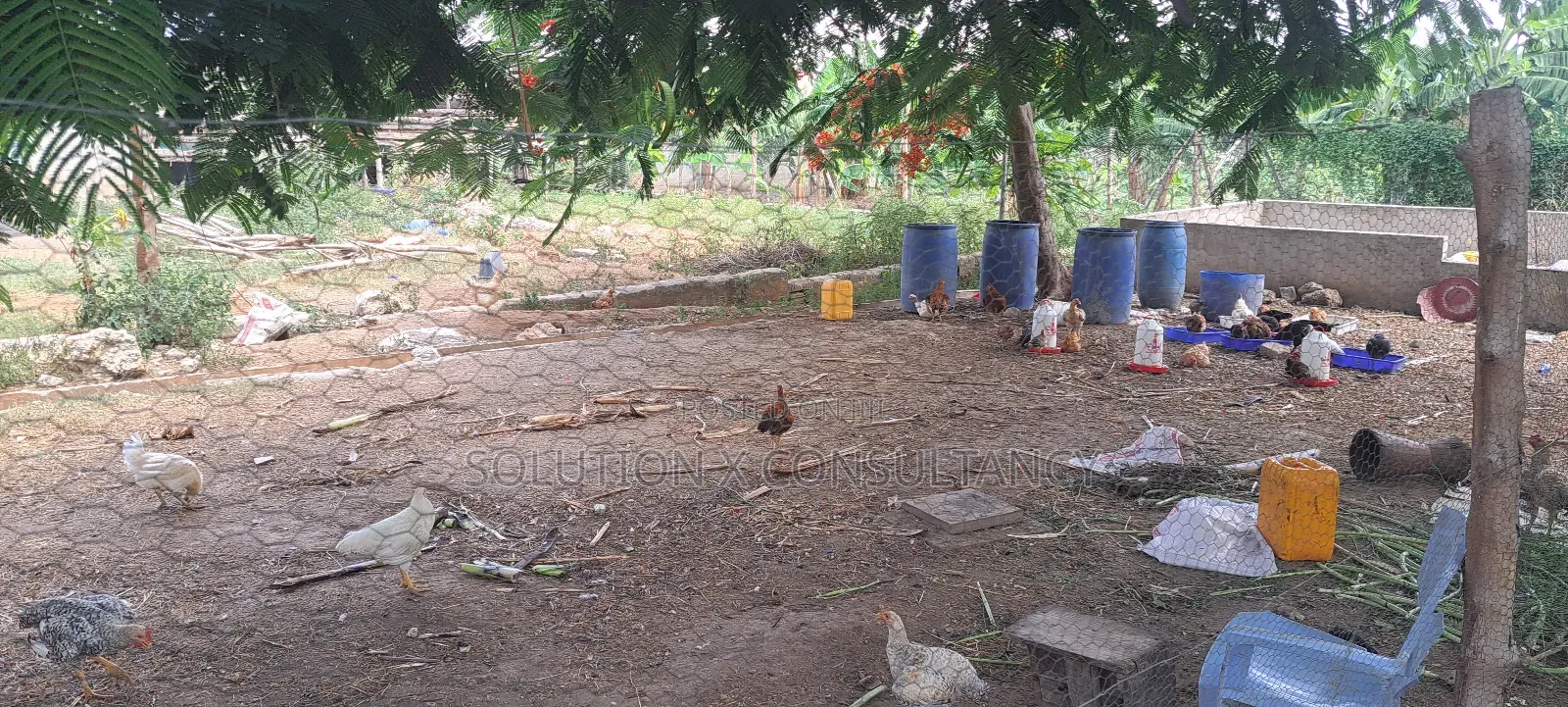 Shamba La Ekari Tatu Linauzwa Bunju A