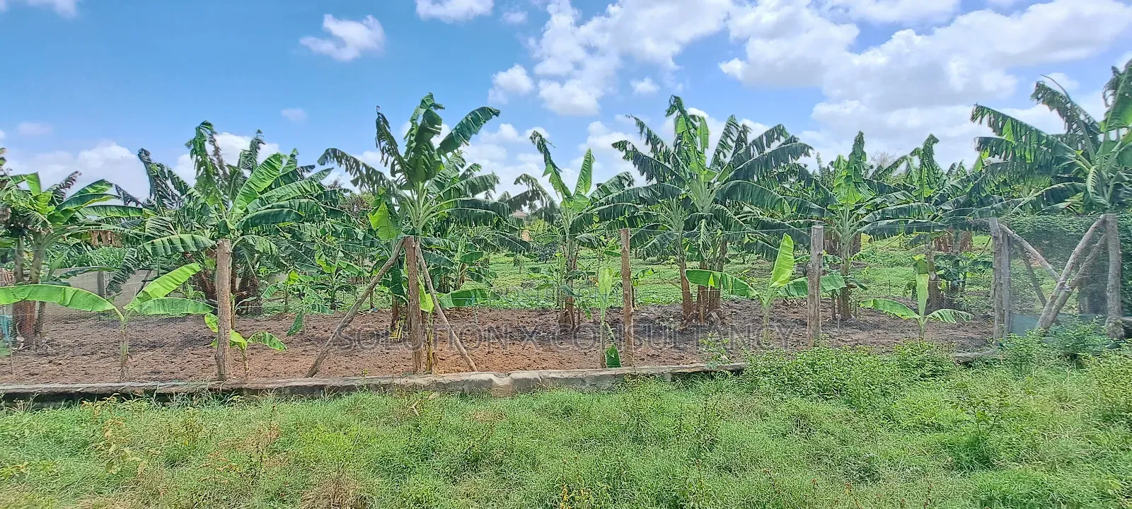 Shamba La Ekari Tatu Linauzwa Bunju A