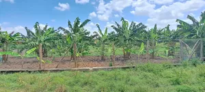 Shamba La Ekari Tatu Linauzwa Bunju A