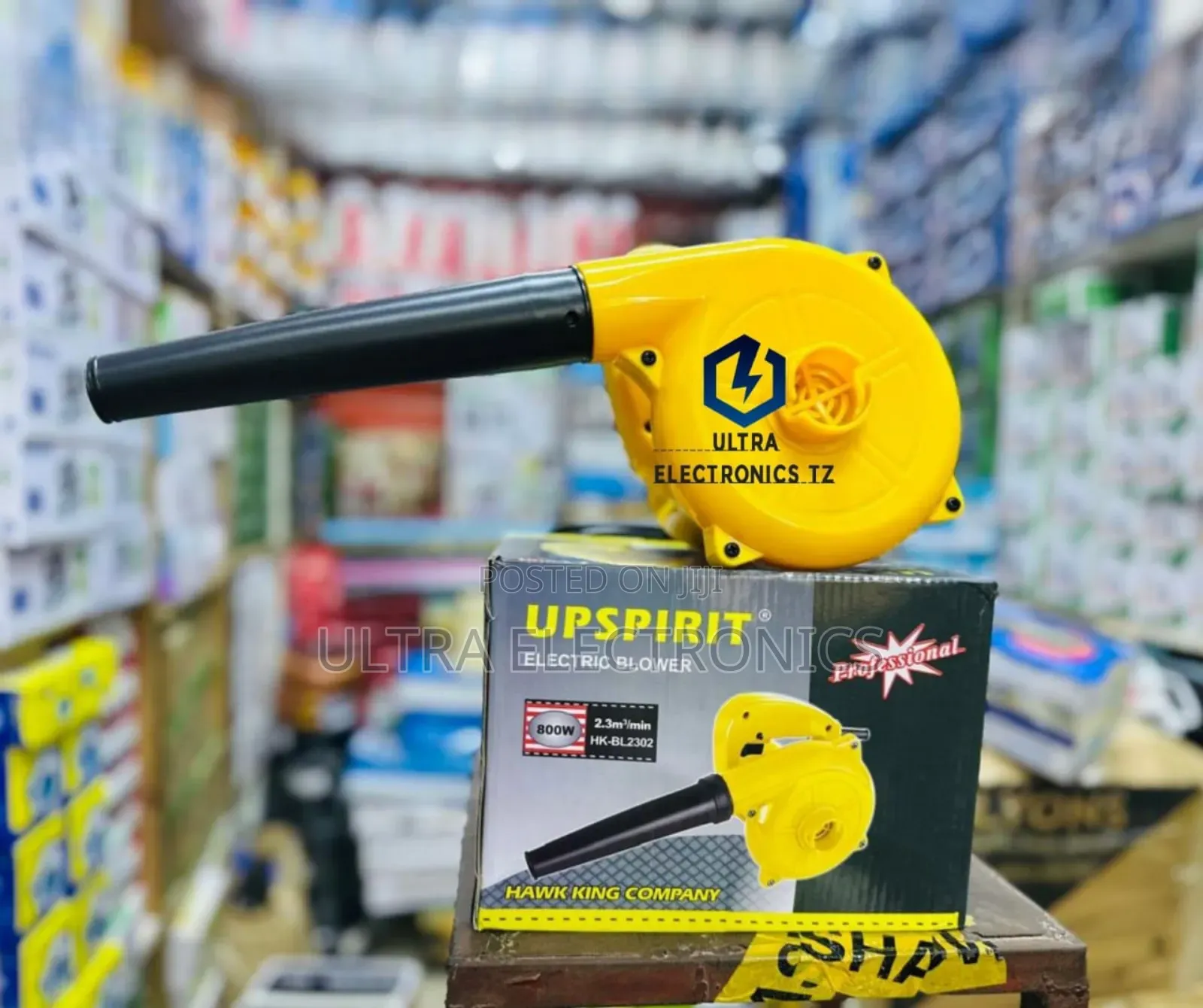 Portable Professional Electric Blower 800w Inavuta Na Kupuliza Vumbi