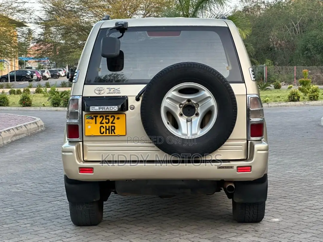 Toyota Land Cruiser Prado 2001 Silver