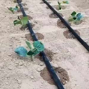 Perforated Drip Pipe