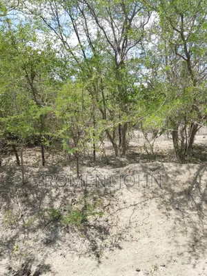 Shamba Heka 200 Linauzwa Milioni 160 Pwani Kwala Location.