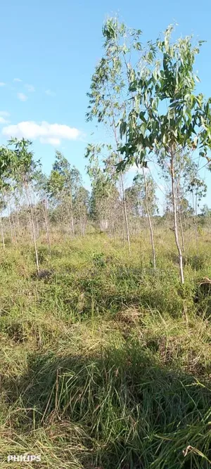 Farms With 325 Acres for Sale at Mkuranga