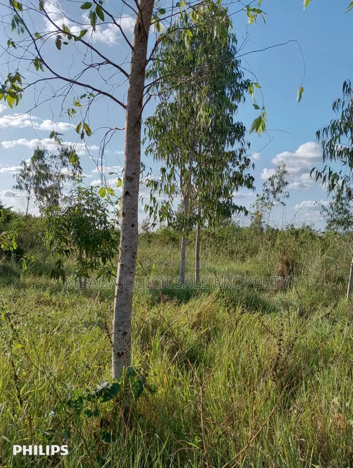 Farms With 325 Acres for Sale at Mkuranga