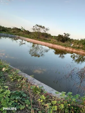 Farms With 325 Acres for Sale at Mkuranga