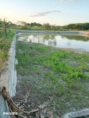 Farms With 325 Acres for Sale at Mkuranga