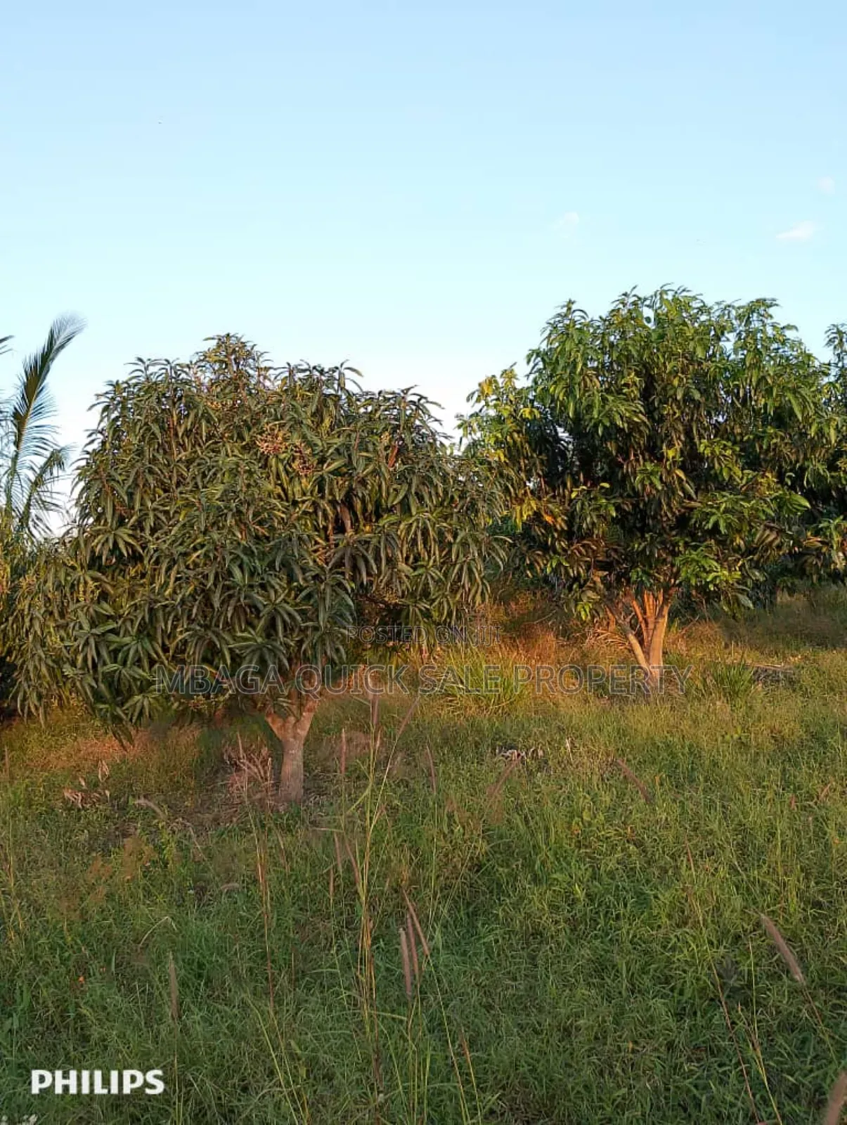 Farms With 325 Acres for Sale at Mkuranga