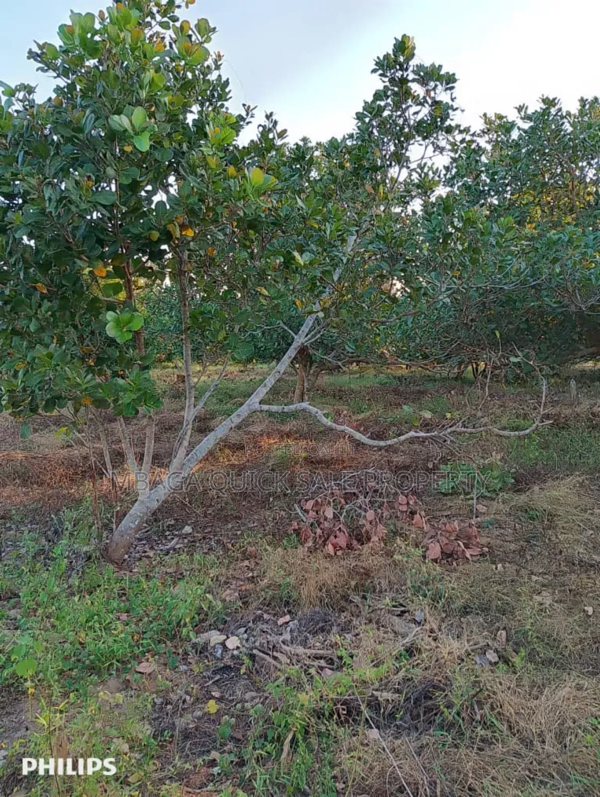Farms With 325 Acres for Sale at Mkuranga